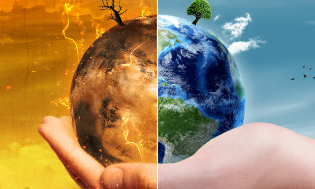 Som en samlet global kunnskaps-verden sier det: «Act now, you idiots!»
